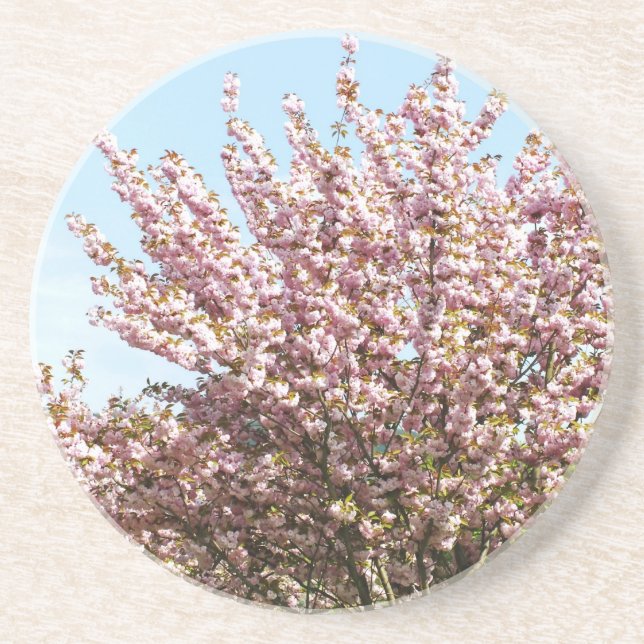 Körsbärsblomning Underlägg Sandsten (Framsidan)