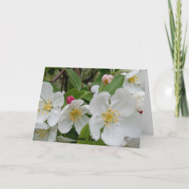 Körsbärsblomssorpresa Vikad Tacksamhetskort Tack Kort