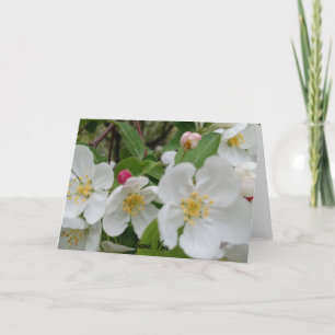 Körsbärsblomssorpresa Vikad Tacksamhetskort Tack Kort