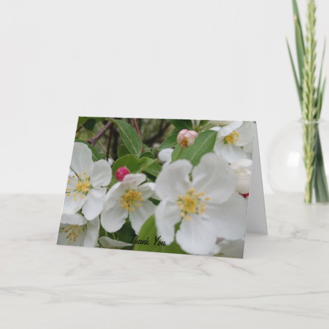 Körsbärsblomssorpresa Vikad Tacksamhetskort Tack Kort (Framsida)