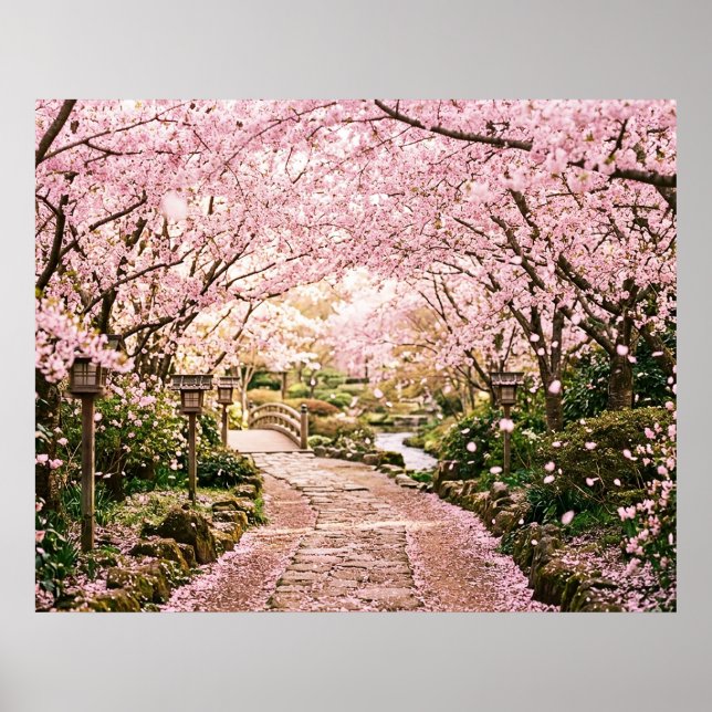 Körsbärsblomstrande träd poster (Framsidan)