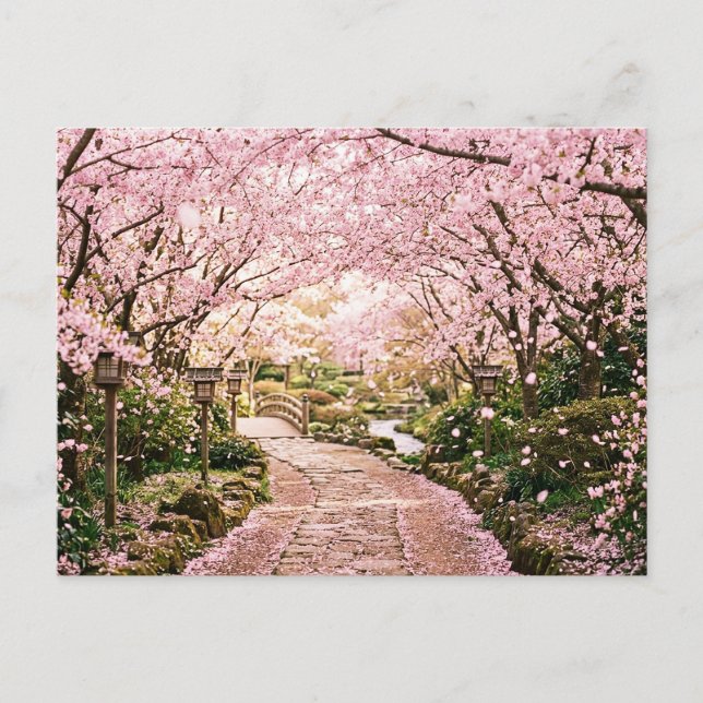 Körsbärsblomstrande träd vykort (Framsida)