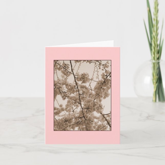 Körsbärskans Blommar: Tomma anteckningskort (Framsida)