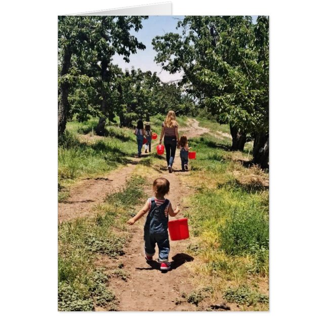 Körsbärsplockningstid OBS Kort (Framsidan)