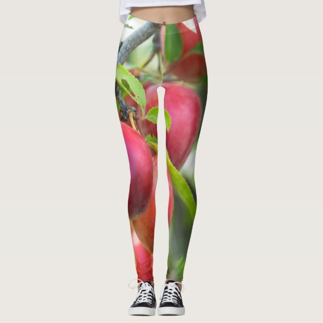 Körsbärsplommon i gren leggings (Framsida)