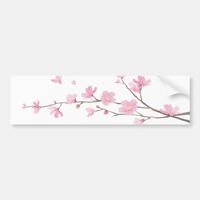 Körsbärsröd blommar - Genomskinlig-Bakgrund Bildekal (Framsidan)