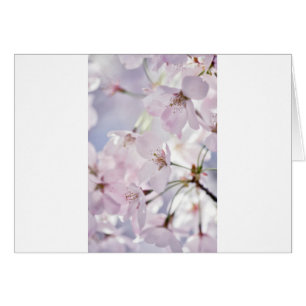 Körsbärsröd blommar hälsningskort