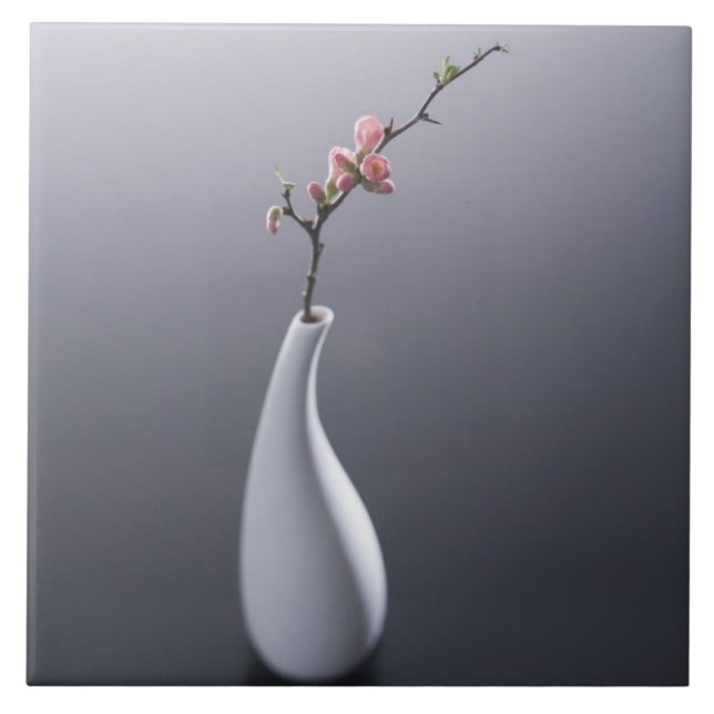 Körsbärsröd blommar i vas kakelplatta (Framsidan)