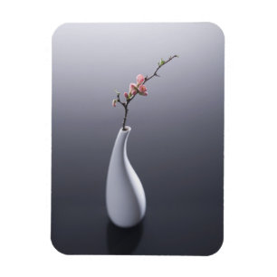 Körsbärsröd blommar i vas magnet