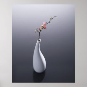 Körsbärsröd blommar i vas poster