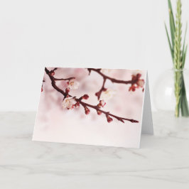 Körsbärsröd blommar kort