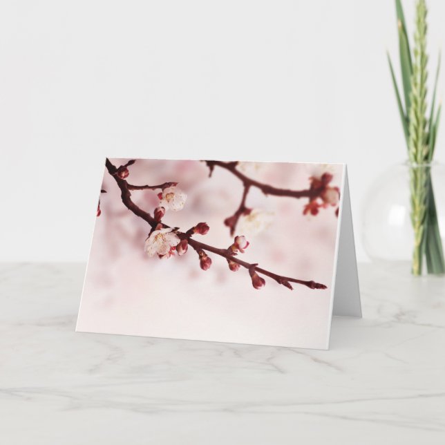 Körsbärsröd blommar kort (Framsida)