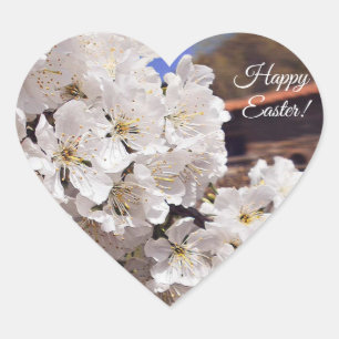 Körsbärsröd blommar. Lyckliga Easter. Hjärtformat Klistermärke