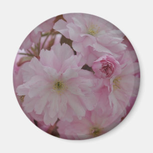 Körsbärsröd blommar magnet