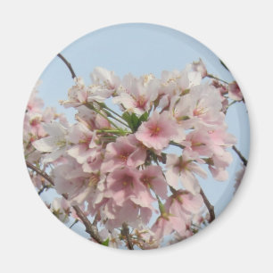 Körsbärsröd blommar magnet