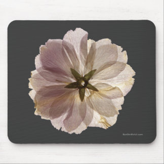Körsbärsröd blommar Mousepad Musmatta