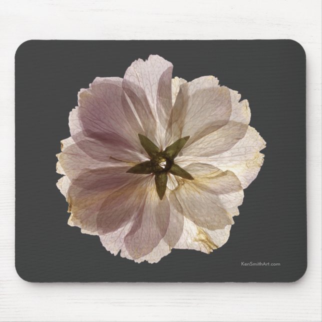 Körsbärsröd blommar Mousepad Musmatta (Framsidan)