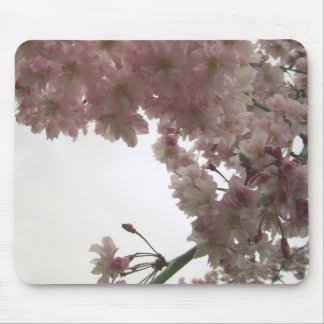 Körsbärsröd blommar Mousepad Musmatta