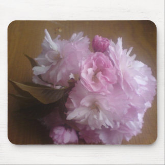 Körsbärsröd blommar musmatta