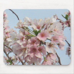 Körsbärsröd blommar musmatta