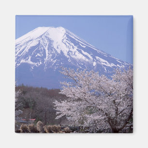 Körsbärsröd blommar och Mount Fuji Magnet