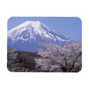 Körsbärsröd blommar och Mount Fuji Magnet