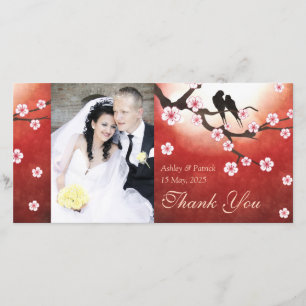 Körsbärsröd blommar Sakura & love birdstackfoto Tack Kort