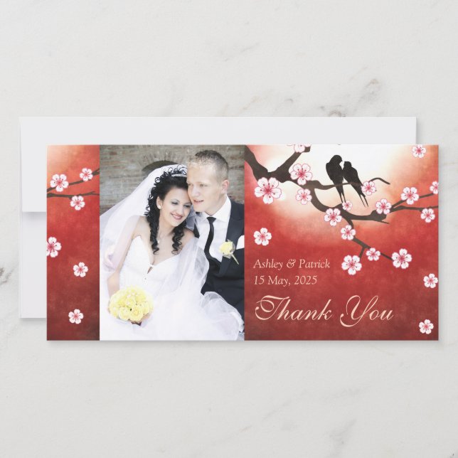 Körsbärsröd blommar Sakura & love birdstackfoto Tack Kort (Framsida)