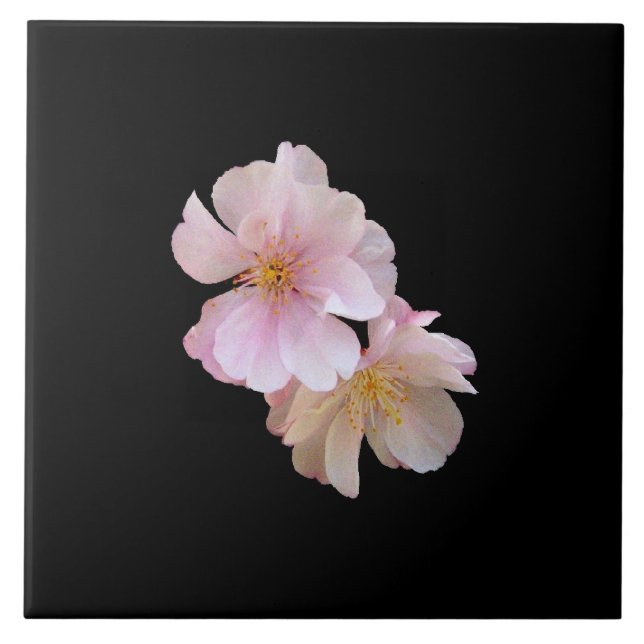 Körsbärsröd blommar Trivet Kakelplatta (Framsidan)
