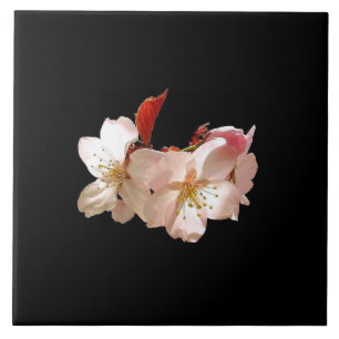 Körsbärsröd blommar Trivet Kakelplatta