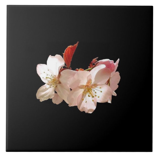 Körsbärsröd blommar Trivet Kakelplatta (Framsidan)