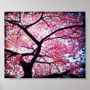 Körsbärsröd blommaraffisch poster