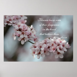 Körsbärsröd blommarblommigt poster