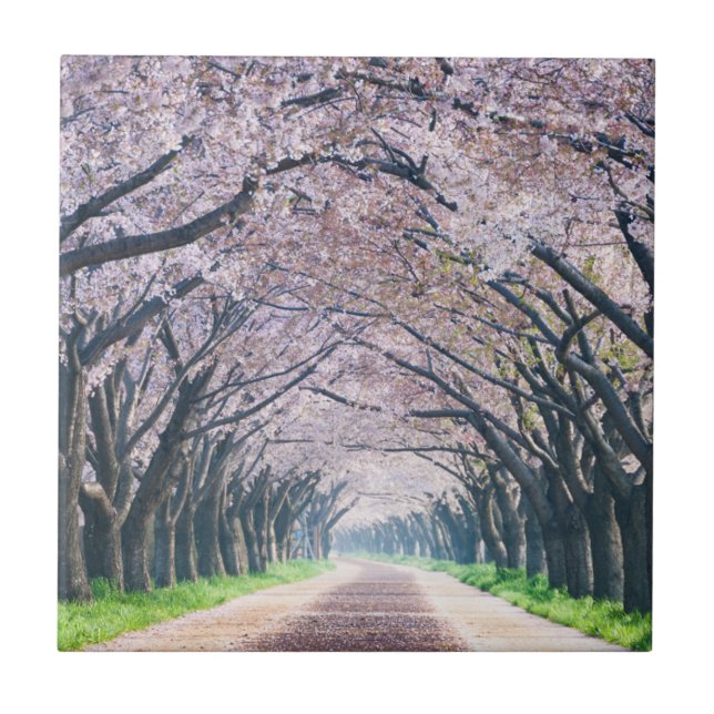 Körsbärsröd blommarLane Kakelplatta (Framsidan)