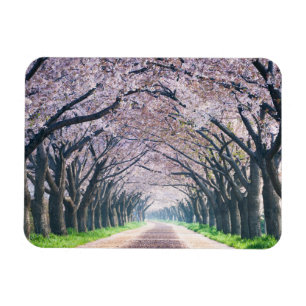 Körsbärsröd blommarLane Magnet