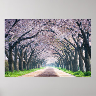 Körsbärsröd blommarLane Poster