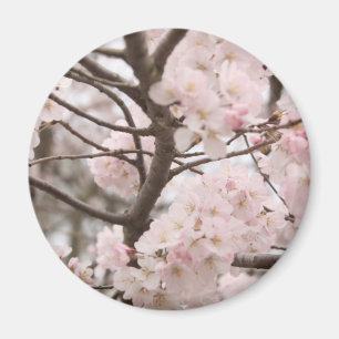 Körsbärsröd blommarmagnet (rundan) magnet