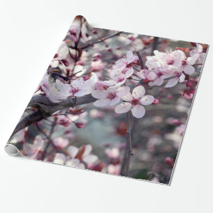 Körsbärsröd blommarnaturblommigt presentpapper