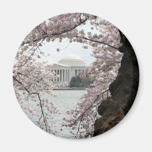 Körsbärsröd blommarWashington DC Magnet