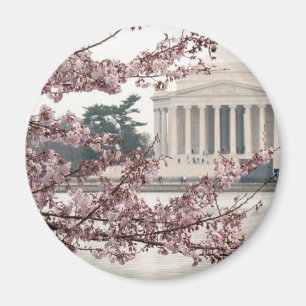 Körsbärsröd blommarWashington DC Magnet