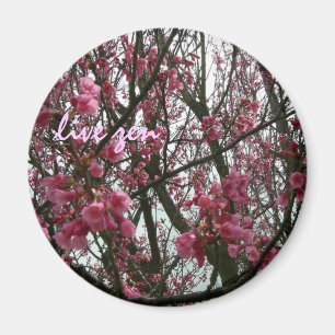 körsbärsröda blommar bor zenmagneten magnet