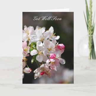 Körsbärsröda blommar får väl snart kort