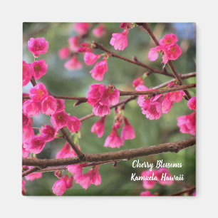 Körsbärsröda blommar magnet