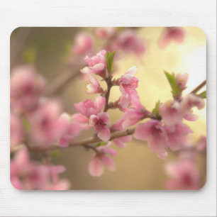 Körsbärsröda blommar musmatta