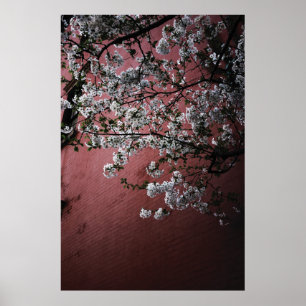 Körsbärsröda blommar poster