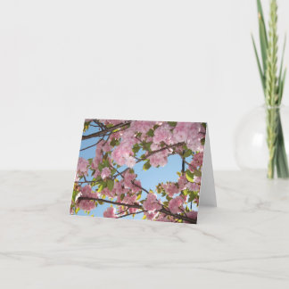 Körsbärsröda blommarnotecards kort