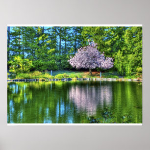 Körsbärsröda trädblommar poster