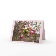 Körsbärsrött blommarhälsningkort