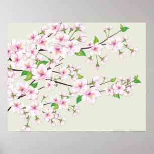 Körsbärsrött blommarSakura tryck