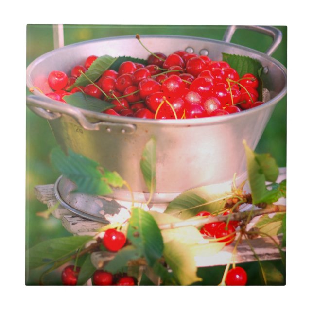 Körsbärsskörd, trädgårdsodling Rosalinde Kakelplatta (Framsidan)